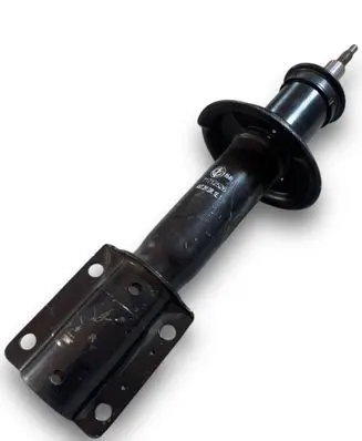Fiat Ducato Central body control module 71712526