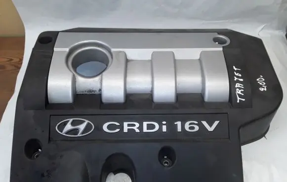Hyundai Trajet Engine cover (trim) 2924027101 NOTCODE