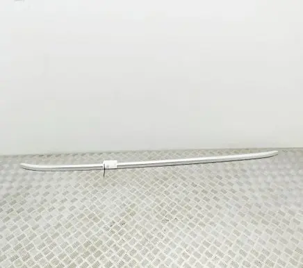 Volkswagen PASSAT B8 Roof bar rail 3G9860034K