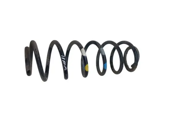 Rear coil spring