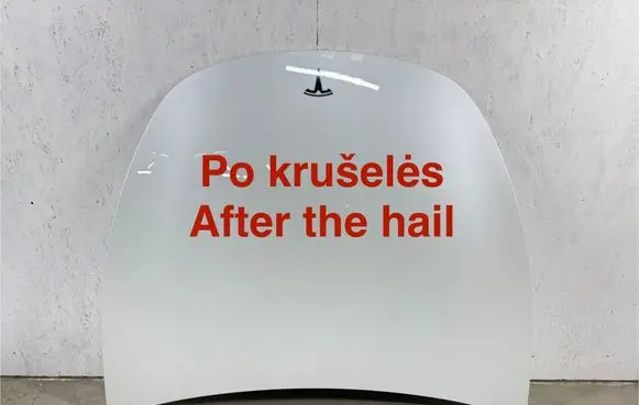 Tesla Model Y Engine bonnet/hood