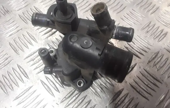 Thermostat/thermostat housing