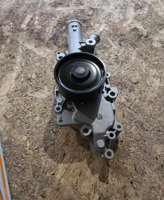 Mercedes-Benz S W220 Water pump A6132000901