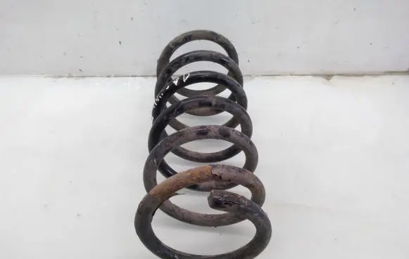 Ford S-MAX Rear coil spring