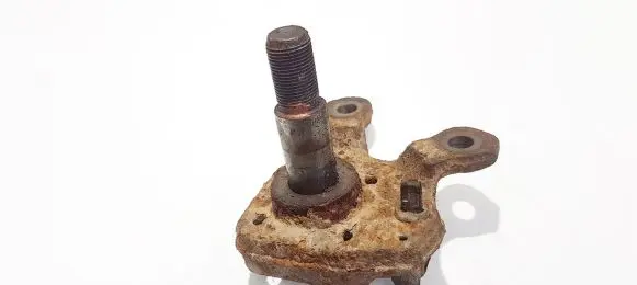 Renault Scenic I Stub axle 