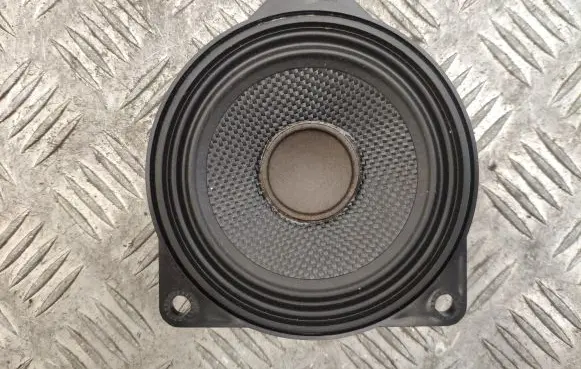 Panel speaker