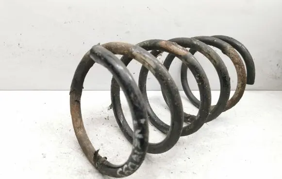 Rear coil spring