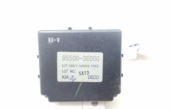 KIA Sorento Other control units/modules 955003E000