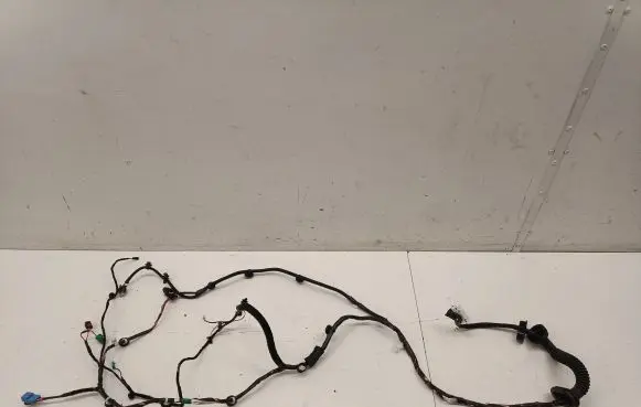 Tesla Model 3 Front door wiring loom 306795702C