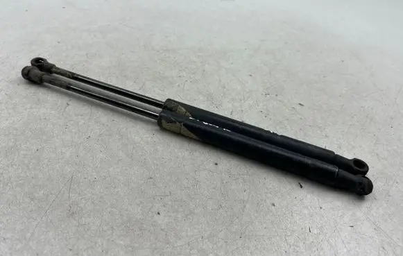 Tailgate/trunk strut/damper