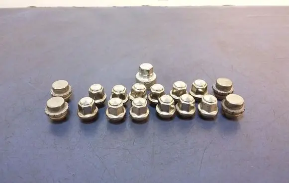 Ford Ecosport Nuts/bolts 