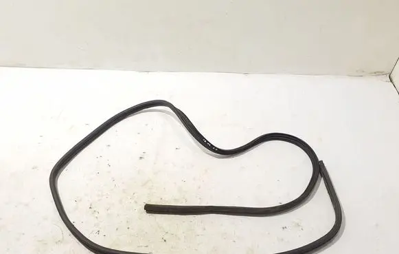 Renault Trafic II (X83) Front door rubber seal 7700313623