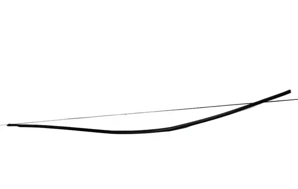 Toyota Prius (XW50) Roof trim bar molding cover 