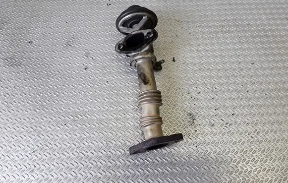 Seat Ibiza II (6k) EGR valve 028131501F