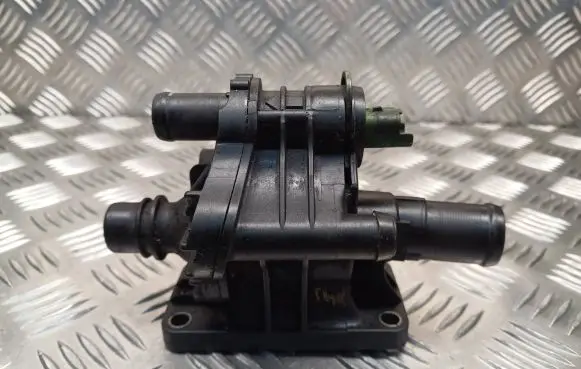 Thermostat/thermostat housing