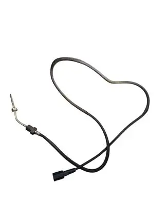 Ford Ecosport Exhaust gas temperature sensor FN1512B591AA