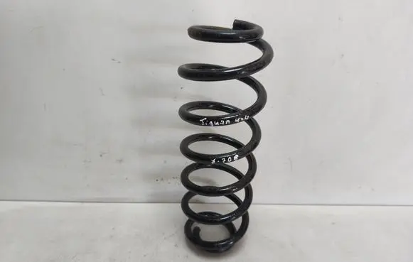 Rear coil spring