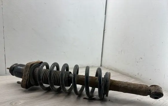 Dodge Journey Rear shock absorber with coil spring 05151244AB
