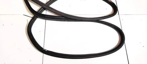 Ford Focus C-MAX Rubber seal front coupe door 