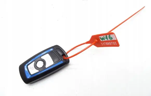 BMW 5 F10 F11 Ignition key/card 8053870