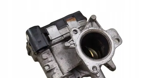 Fiat Doblo Throttle valve
