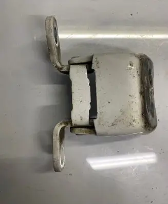 Rear door lower hinge
