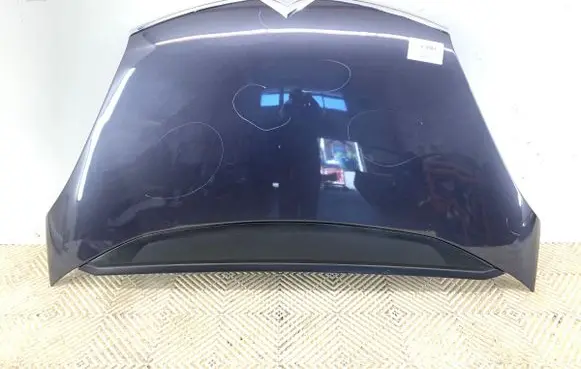 Engine bonnet/hood