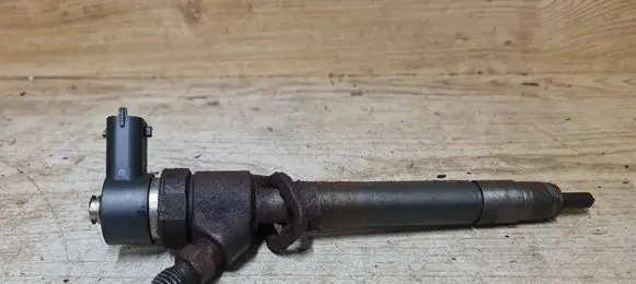 Volvo V70 Fuel injector 0445110251