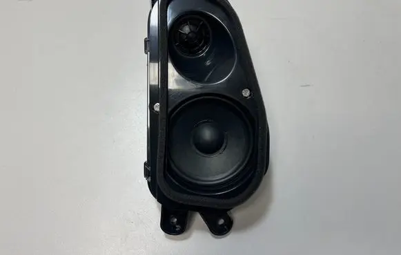 Panel speaker