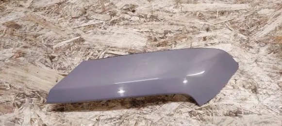 Rear/tail light trim molding