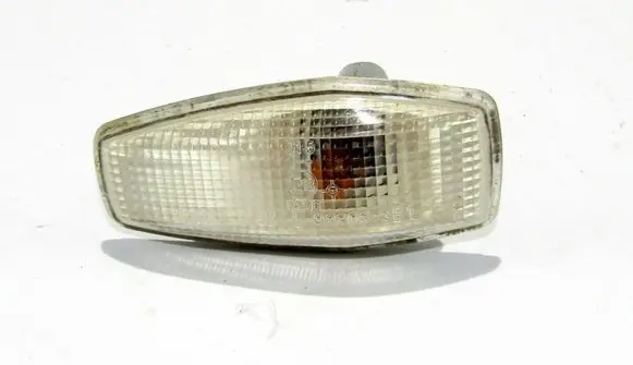 Front fender indicator light