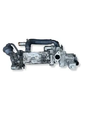 KIA Carens III EGR valve 284102A850