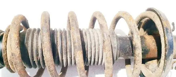 Volkswagen Bora Front coil spring 