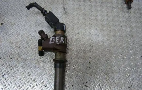 Citroen Berlingo Fuel injector 9636819380