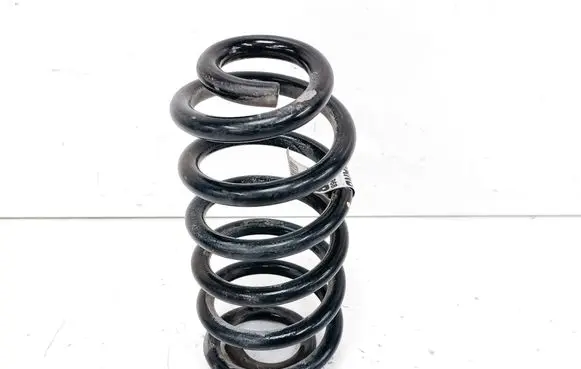 Rear coil spring