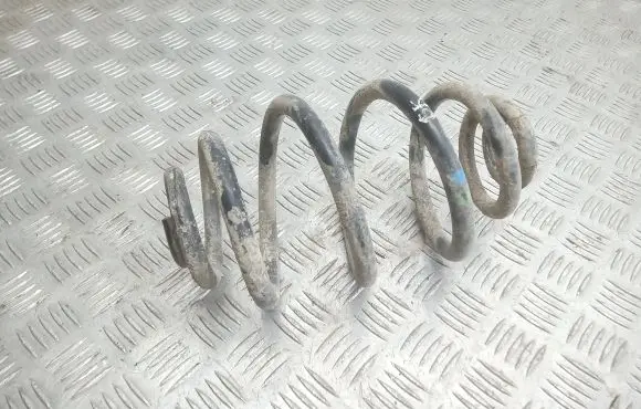 Volkswagen PASSAT B5.5 Rear coil spring