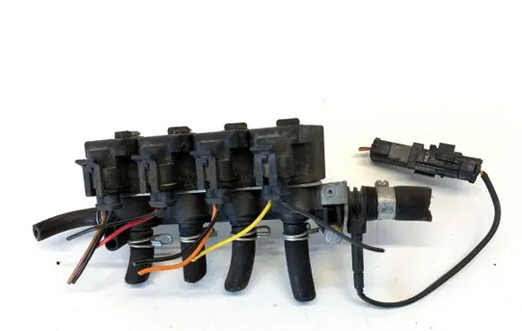 Fiat Tipo LP gas injector
