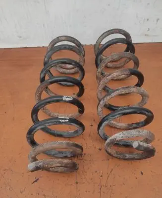 Rear coil spring