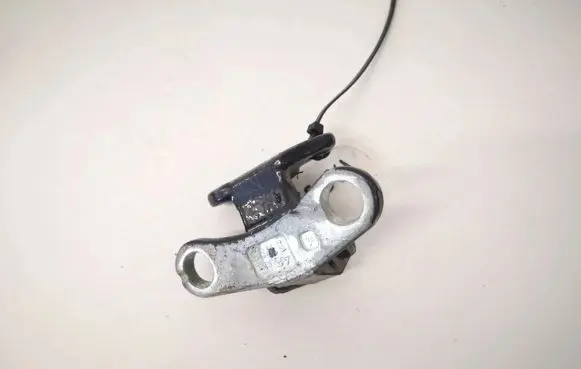 Volvo S40 Rear door lower hinge