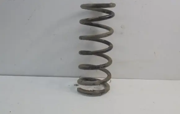 Rear coil spring