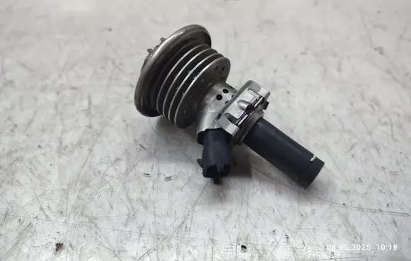 Mercedes-Benz ML W166 AdBlue injector A1644900513