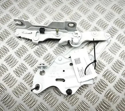BMW X6 G06 Engine bonnet/hood hinges 7418202