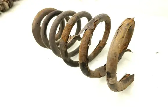Rear coil spring