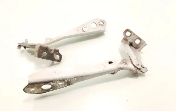 Renault Master III Engine bonnet/hood hinges 654010006R