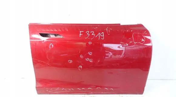 Tesla Model S Front door 6006622