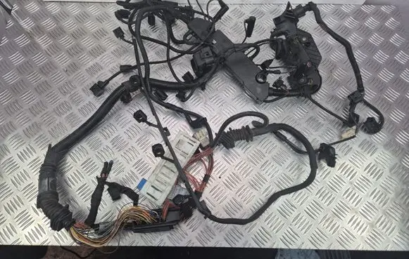 BMW X5 E70 Engine installation wiring loom 7801726 7380102 7806080