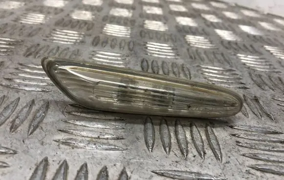Front fender indicator light