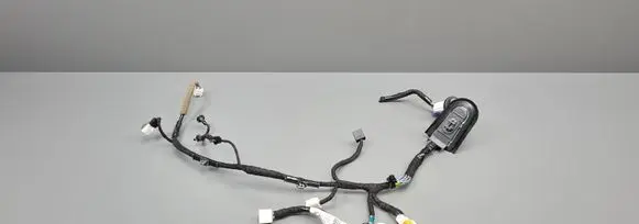 Front door wiring loom
