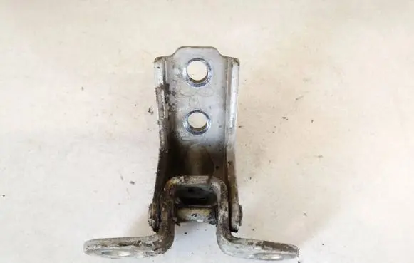 Rear door lower hinge