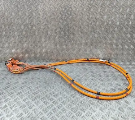 Tesla Model Y Other wiring loom 110900300E